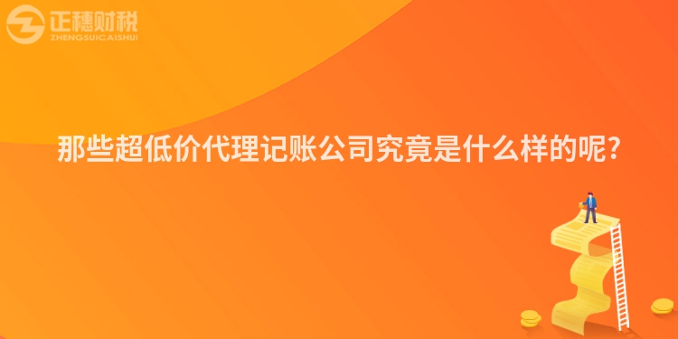 那些超低价代理记账公司究竟是什么样的呢?