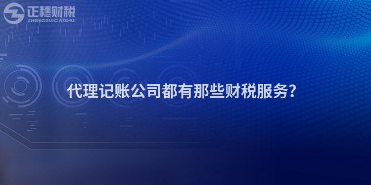 代理记账公司都有那些财税服务？