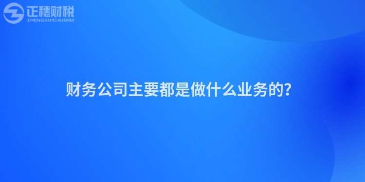 财务公司主要都是做什么业务的？