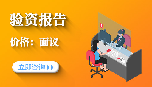 验资报告