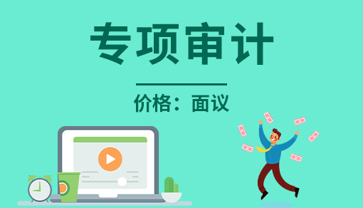 正穗财税帮您进行2021年专项审计
